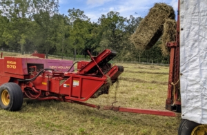 We have our own equipment here at the farm that allows us to do the entire process ourselves. It takes several days to complete, but I know the hay I grow is good quality, nutritious hay.