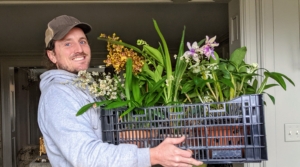 Here's Ryan bringing in a crate of beautiful orchids.