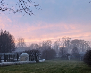 Hours later as the sun begins to set, a soft pink tint could be seen through the clouds. The fog remained thick through the night. And today, we're expecting sun and clouds with temperatures in the mid-30s. How much fog do you get where you live? Share your comments below.