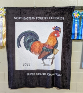 The Northeastern Poultry Congress is always very informative and very interesting. I always learn something new when I attend. And, I did bring a few birds home with me too -- I will share more of those photos in a future blog, stay tuned.
