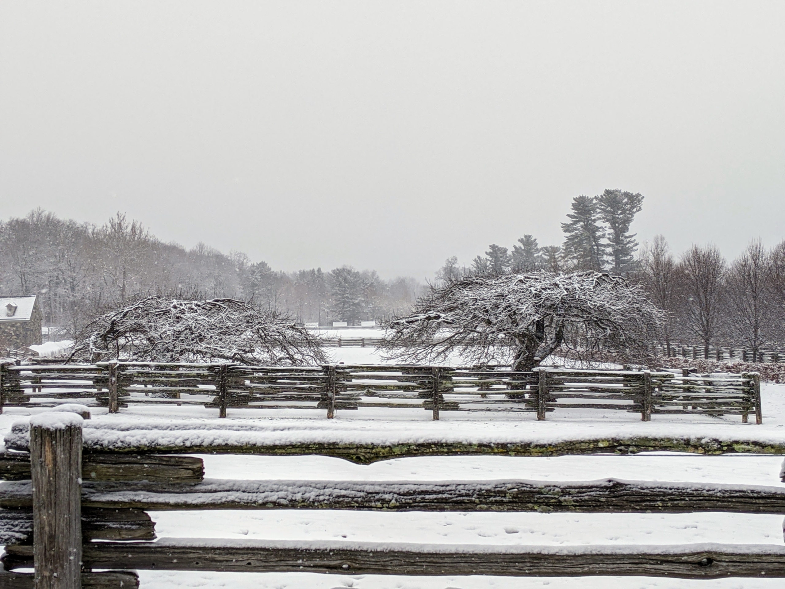 A Fresh Coating of Snow at My Farm - The Martha Stewart Blog