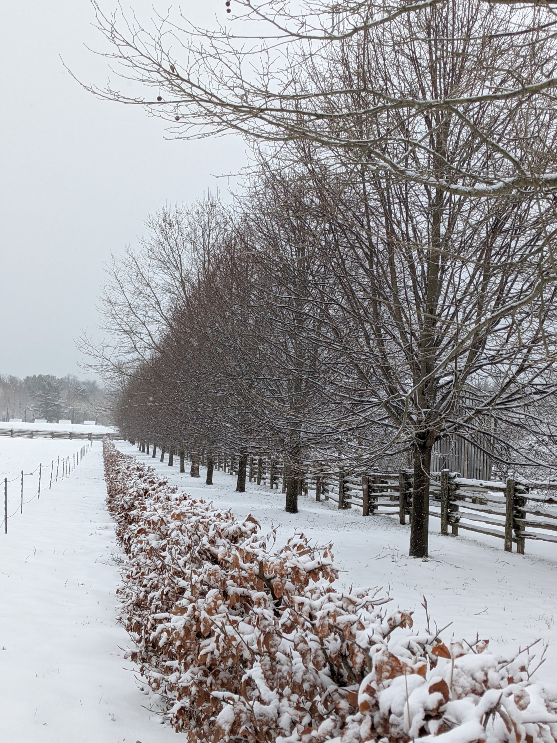 A Light Snow Covers My Farm - The Martha Stewart Blog