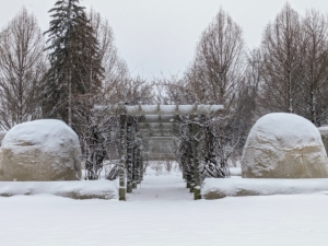 The snow started early in the morning, covering everything at the farm. Here is a cross section of my long and winding clematis pergola. I am glad the large boxwood are well-covered under their protective winter burlap shrouds. Straight ahead, one can see the windows of my Tenant House in the distance.