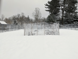This is a view into the vegetable garden – completely covered in inches of untouched snow. And in the center is an herb garden we started this summer.