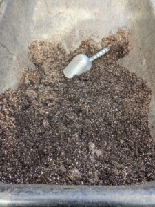Ryan uses a potting mix that includes perlite and vermiculite for good drainage.
