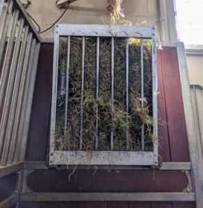 It is also crucial that we monitor the amount of hay the horses consume, so they don’t become overweight or develop digestion issues. My stable crew is very mindful of the horses’ hay intake. We use these galvanized wall mounted horse feeders from RAMM. Each one holds up to three flakes of hay.