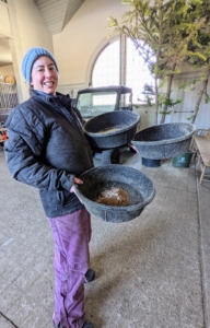 To make the supplements more appealing, they are mixed with some of their favorite grains and then served. Here's my stable manager, Helen Peparo, ready to place each bowl into its designated stall.