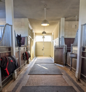 At the end of the day, the stable is quiet once again - the horses are all in their stalls, groomed, fed, and warm. I'll see you later, my handsome Geert. One of the things I appreciate about working from home is all the extra time I get to spend with my pets - they all give me so much joy.
