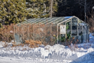 This is my greenhouse at Skylands. During the cold season, I am able to store a collection of tropical plants inside, but most of the beautiful specimens I keep on the terrace in summer go back to Bedford and winter there.