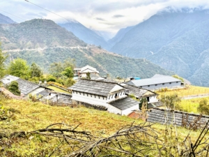 Chhiring stayed in the Gurung village of Gandrung, the biggest Gurung town in Nepal.