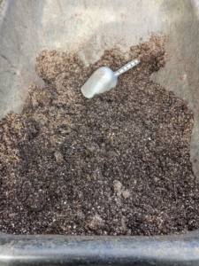 Ryan uses a potting mix that includes perlite and vermiculite for good drainage. Any all-purpose potting mix blends can be used, as long as it drains well.