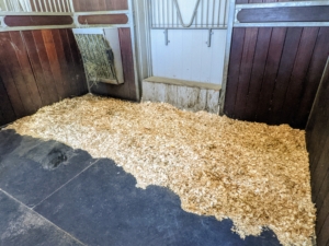 Inside, the donkey stalls are all clean with fresh shavings.