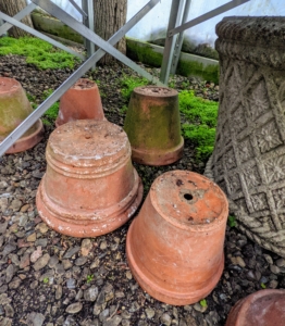 We store many of the empty pots underneath the greenhouse tables where they can be accessed quickly. Clay and terra cotta containers can be stored anywhere where the temperatures will not fall below freezing. Stack pots upside down so that water doesn't pool in them.