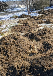 The mulch is then dropped in mounds and spread evenly throughout the space. Spreading a two to three inch layer of mulch will suppress weed germination, retain moisture, and insulate the soil.
