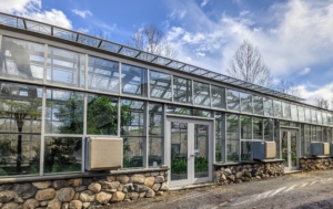This entire greenhouse, located next to my tropical hoop house, is almost all glass. Most of the energy comes from the sun through these giant windows, which can be programmed to open for ventilation or cooling when needed. This photo was taken earlier this week when temperatures rose to the upper 60s. Today started with freezing rain, sleet, and temperatures in the 20s.