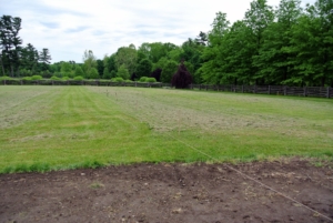 This is the paddock just before I planted my giant orchard of 220-fruit trees in 2017. We planned exactly where all the trees would be planted using twine.