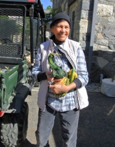 And here she is after picking gourds and pumpkins.
