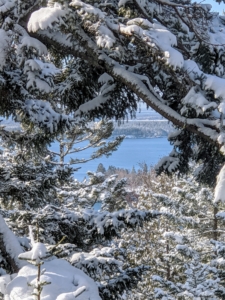 Through the trees is Sutton Island in the distance. The views of Seal Harbor are always breathtaking. It looks very different in summer when it’s filled with boats.