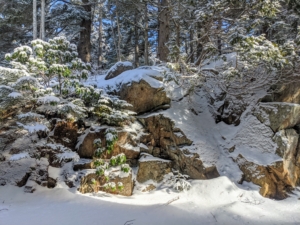 Outside the front door is my circular driveway and these large boulders covered in snow.