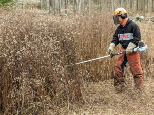 Pasang wears safety chaps whenever working with the STIHL brush cutter to clear the woodland in winter.