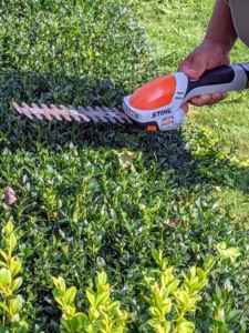 Phurba uses the HSA 26 Battery-Powered Garden Shears to trim the boxwood. It's so lightweight and efficient for these fast jobs.