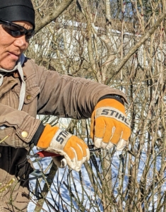 Gloves are also very helpful when pruning, trimming, or carrying thorny branches.