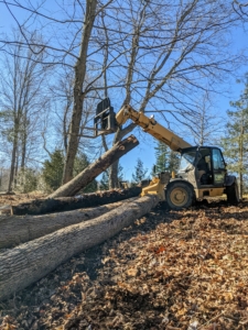Using our trusted Hi-Lo, Chhiring carefully maneuvers the tractor and piles up the logs near the side of the carriage road for pick-up and chipping. “Cleaning” the woods allows us to reuse and repurpose a lot of natural materials – and it makes the area much prettier.