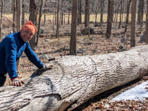 Domi stops to smile for the camera before he chains up this giant tree.