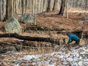 As part of the woodland maintenance around my farm, dead, damaged, and diseased trees are taken down during various times of the year. Here, Domi, from my outdoor grounds crew, secures a chain around this log that was cut down last summer.