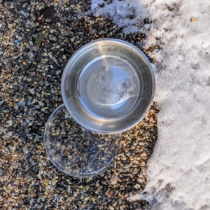 Pet bowls of water are also left out. Night temperatures are still freezing here in the Northeast, so every morning, Phurba removes the ice and replenishes the supply.