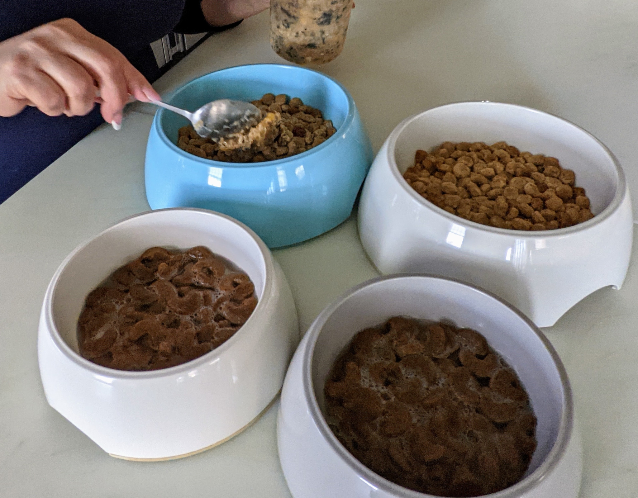 Making Delicious Food for My Dogs The Martha Stewart Blog