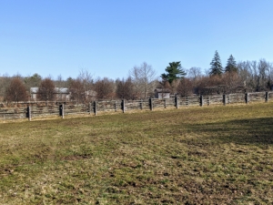 These paddocks will remain empty for a couple of weeks until the seeds germinate and grow - and then they'll be beautiful, lush, and ready for grazing once again. What early outdoor spring chores are keeping you busy? Let me know in the comments section below.