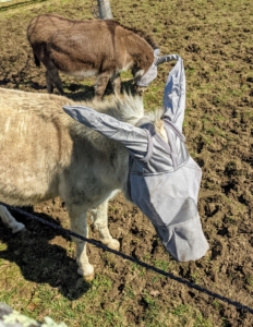 These masks have soft form-fitting micro mesh that blocks 70-percent of the sun’s UV rays. Each one also has a special forelock hole to prevent rubbing and to keep the hair clear of the horse’s eyes. Plus, these masks have special ear pockets to keep the bugs out. For the donkeys, we use gray...