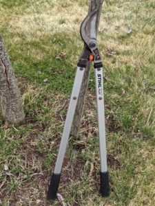 Another favorite tool is the STIHL lopper. Its aluminum handle measures a full 32-inches and the specially designed cutting head has a cutting capacity of two-inches. Brian likes to use this tool when pruning.