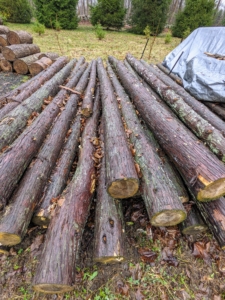 These logs will NOT go into the tub grinder, but instead be saved for use as fence posts.