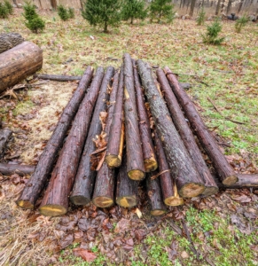 Here's a smaller pile also saved for supporting the fences around the farm.