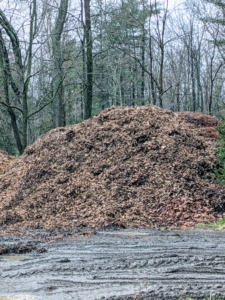 This pile is leaf mold, which is compost produced by the decomposition of shaded deciduous shrub and tree leaves, primarily by fungal breakdown in a slower cooler manner.