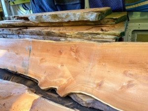 Wood from the yew is classified as a closed-pore softwood, similar to cedar and pine. Look at the beautiful wood with all of its knots. Yew is easy to work with and is very flexible.