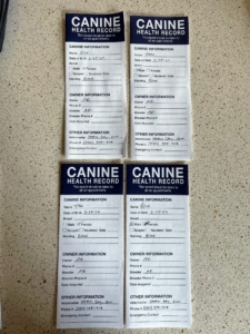 These health records are very important in keeping track of the puppies’ vaccines and deworming schedules. I send these records home with all my purchased puppies. My puppies are also examined by my vet, Stephen Stang, DVM, before going to their new homes to ensure there are no health concerns.