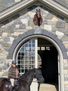 And here I am on my trusted steed, Rinze. I think it looks great and makes a nice ornamental addition to my stable. What do you think? Share your thoughts with me in the section below.