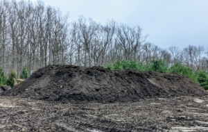 In this area, I also have several piles of organic material in different stages of decomposition – mulch, leaf mold, and manure. It will all be ready to use after it is mixed together, turned and then sieved through the grinder.