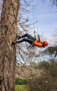 Ricardo uses both legs of the line to climb up the side of the tree. He uses his body to bring himself up. This technique is one of the first climbers must learn, and one of the safest to use.