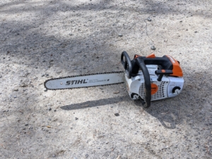 The crew from SavATree also uses STIHL equipment. These arbor saws are lightweight and easy to transport when climbing.