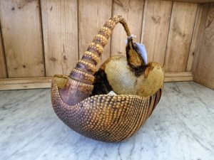 And do you know what this is? It's the shell of an armadillo made into a basket. This too sold!