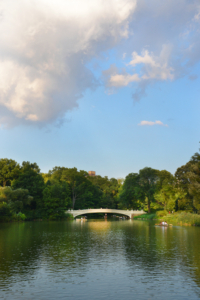 This is the Central Park Bow Bridge. (Photo by Central Park) Conservancy