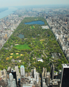 This is an aerial view of Central Park looking north, which Frederick designed with his business partner, Calvert Vaux. Olmsted and Vaux's plan created ways for pedestrians and carriages to enjoy the park without getting in each others' way. It was called the Greensward Plan. (Photo by Central Park Conservancy)