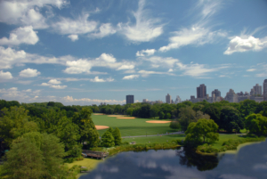 And this is Central Park's Great Lawn. (Photo by Central Park Conservancy)