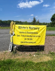 Last weekend, White’s Nursery in Germantown, Maryland hosted a big Spring Open House to sell some of their plants - I am glad we didn't miss it!