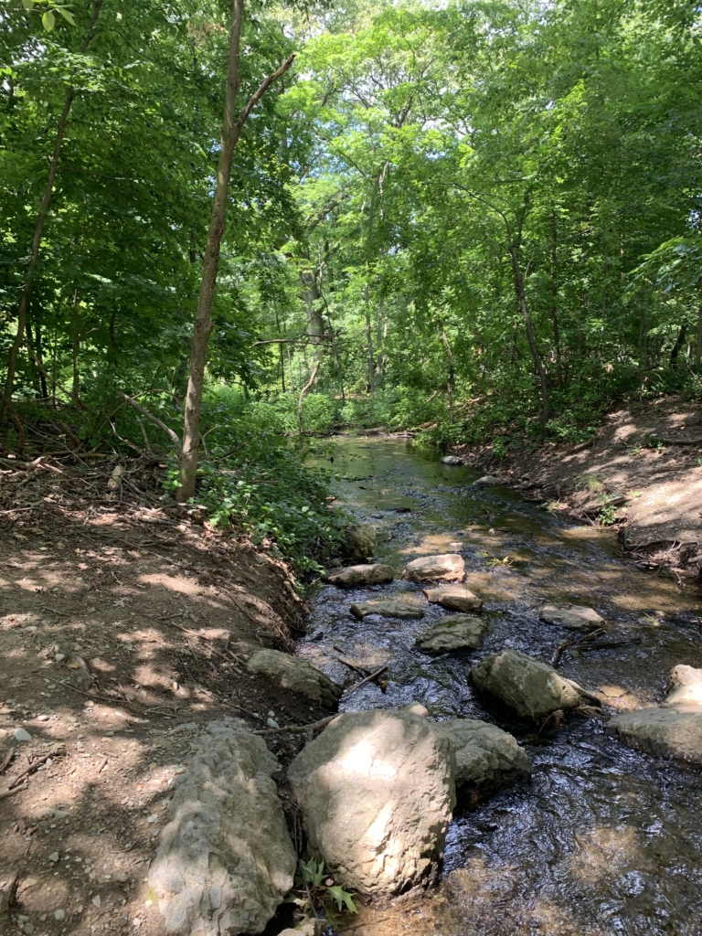 Celebrating Frederick Law Olmsted The Martha Stewart Blog