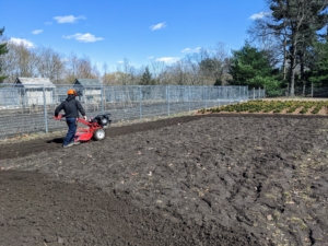 Phurba goes around clockwise with our Troy-Bilt in the same manner. Only rototill when the ground is moist, but not wet – the soil should still crumble when picked up. It’s also a good idea to do this on a day with little or no wind, which could also slow down the task.